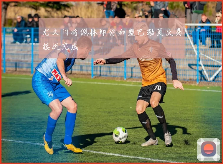 尤文门将佩林即将加盟巴勒莫交易接近完成