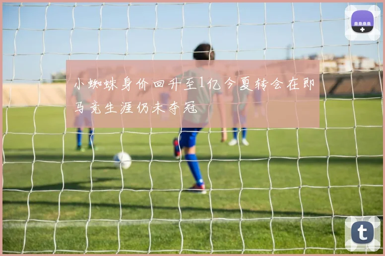 小蜘蛛身价回升至1亿今夏转会在即马竞生涯仍未夺冠